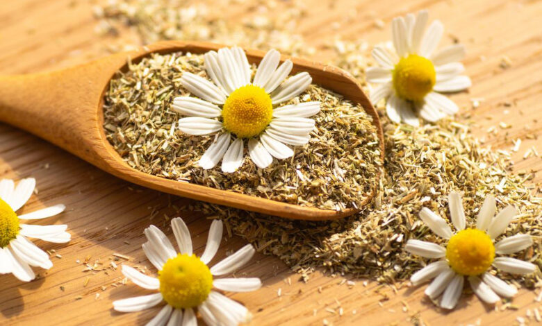 فروش بابونه کوهی خشک + با کیفیت، خوش‌ عطر و صادراتی